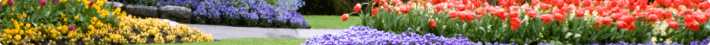 Jardin, animaux & bricolage Jardin, animaux & bricolage
