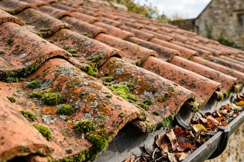 tuiles remplies de mousse