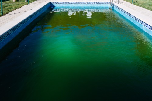 eau verte de la piscine