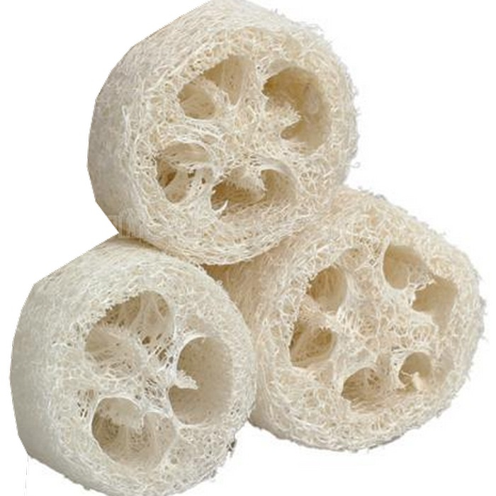 Loofah (loofa) en tranches