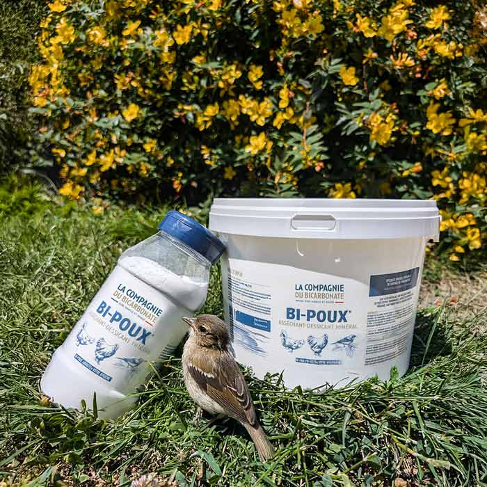 Gamme Bi-Poux - poudre au bicarbonate pour l'hygiène des poules, canaris, pigeons et perruches