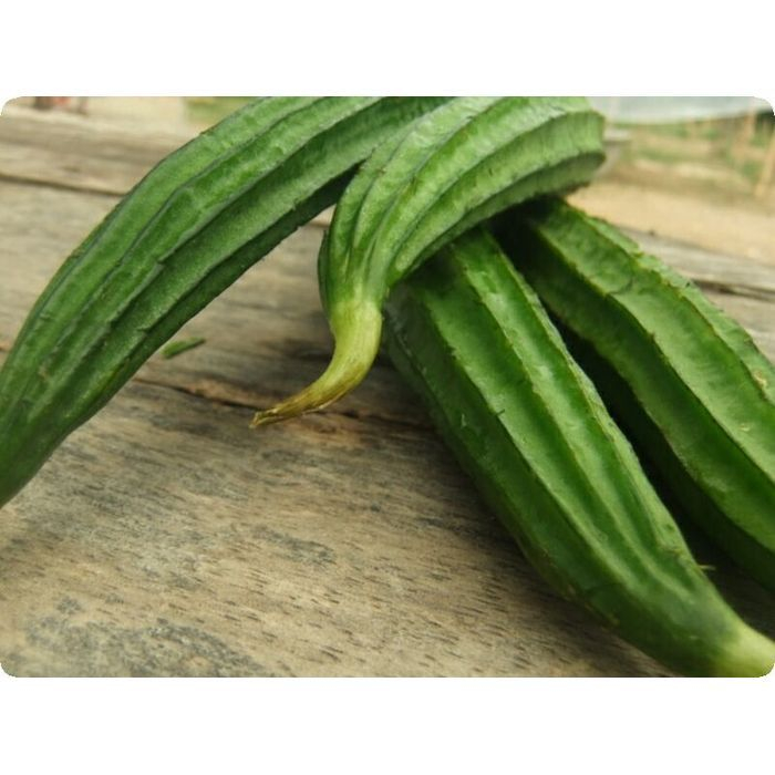 Loofa frais