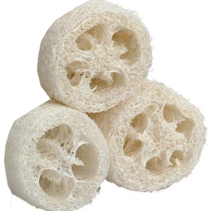 Tranches de loofah - loofa - luffa