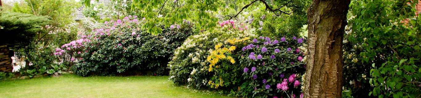 Comment éloigner les chenilles processionnaires avec du vinaigre blanc et du savon noir ?