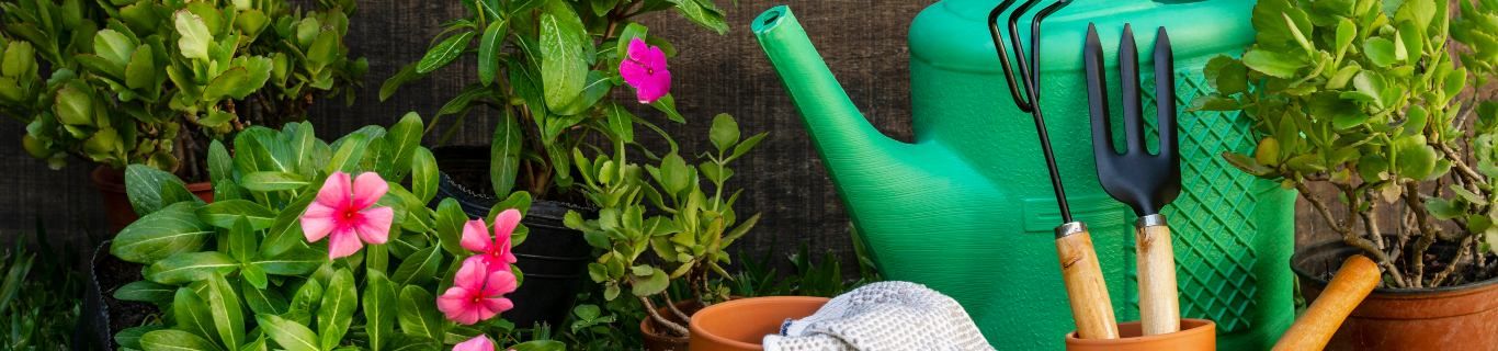 Peut-on utiliser les produits de La Compagnie pour entretenir ses plantes : vinaigre, sel d'Epsom, bicarbonate ?