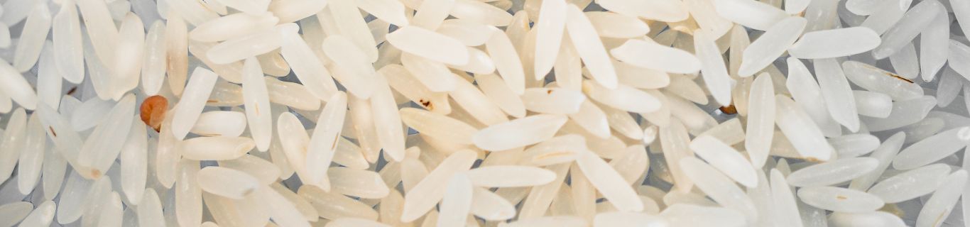 Comment lutter efficacement contre les mites alimentaires avec des produits d’origine naturelle ?