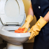 Comment utiliser l’acide citrique pour ses WC ?