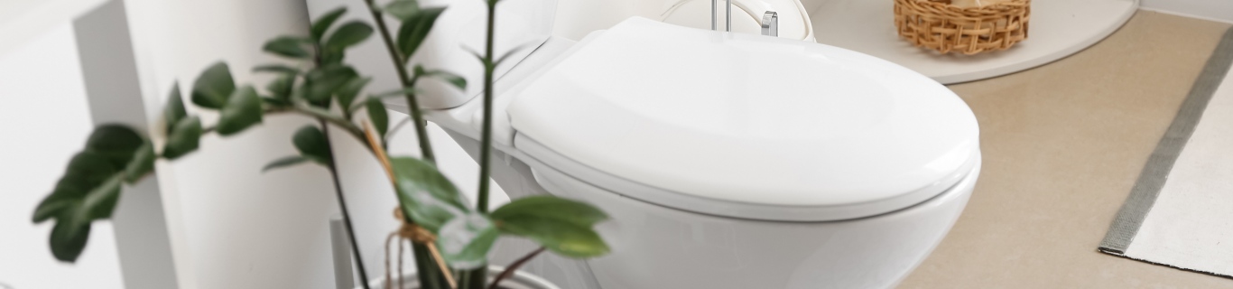 L’acide citrique est-il utile pour désincruster les toilettes ?