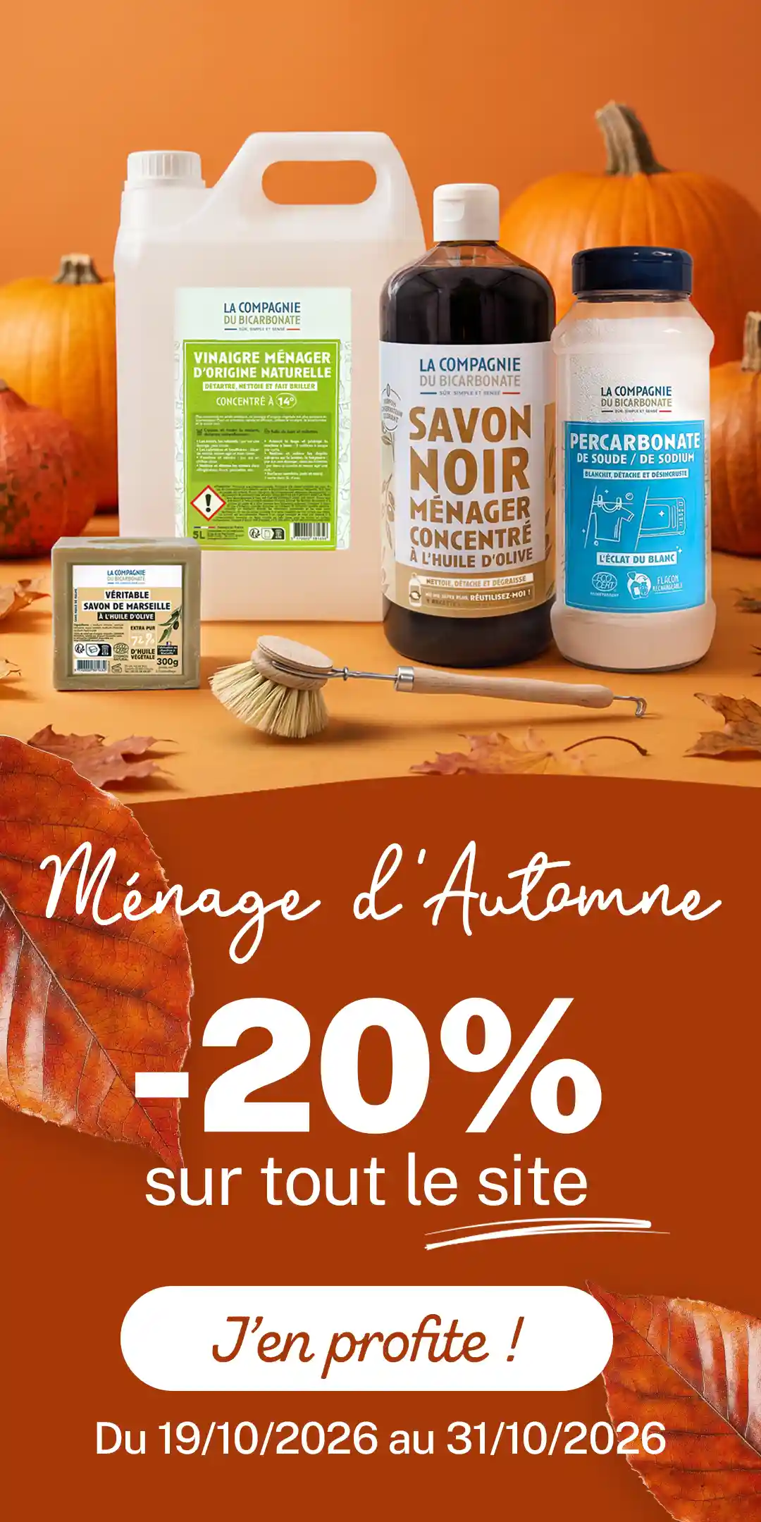 Découvrez nos bonnes affaires
