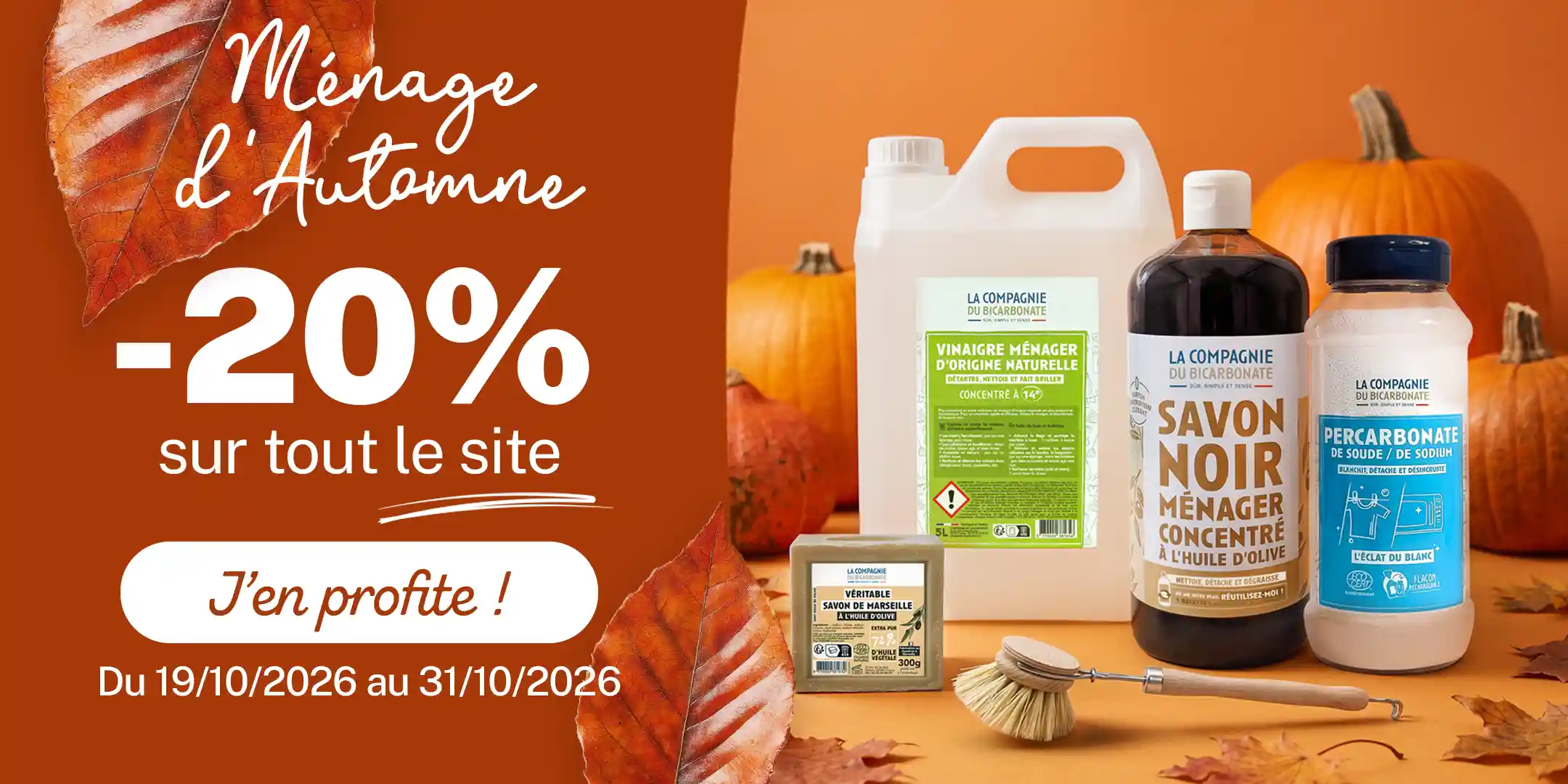 Découvrez nos bonnes affaires