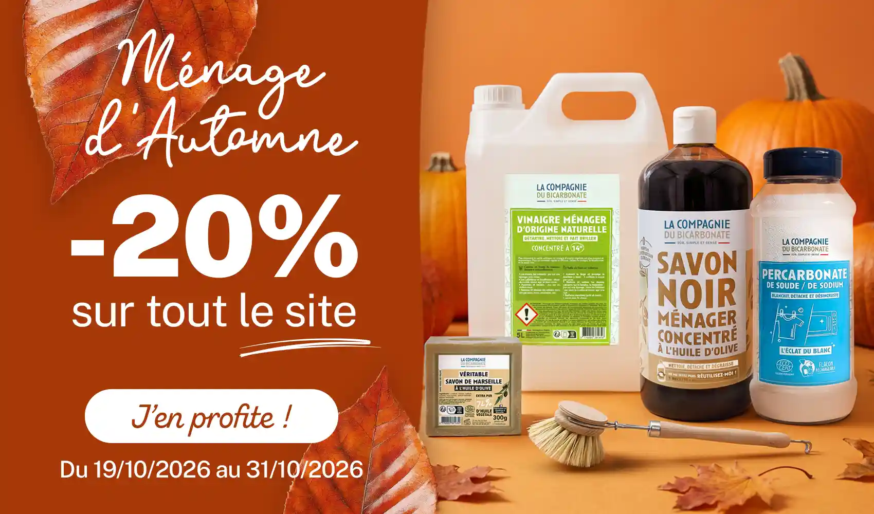 Découvrez nos bonnes affaires