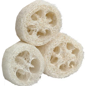 Tout savoir sur les loofah