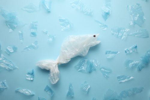 Poisson entouré de plastique