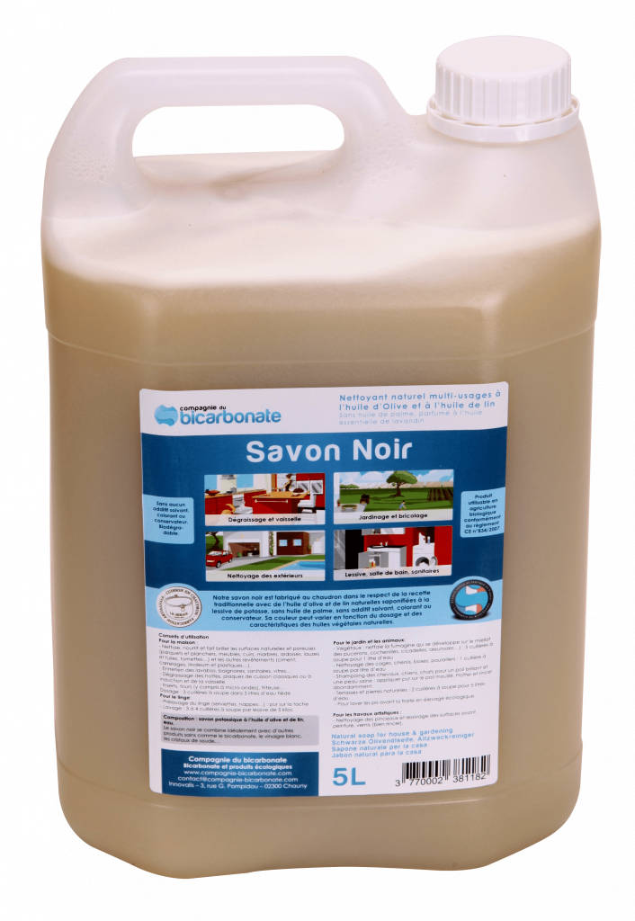 MÉNAGE DE PRINTEMPS bicarbonate, savon noir et vinaigre — free download
